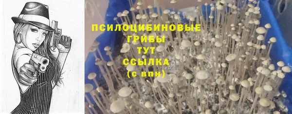 кристаллы Белокуриха