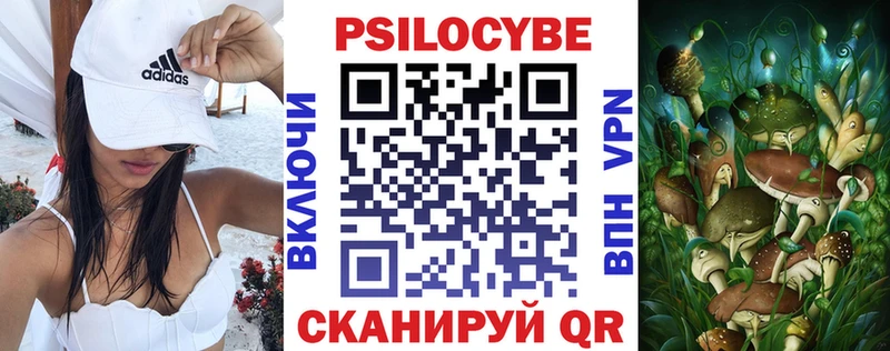 наркотики Набережные Челны Галлюциногенные грибы Psilocybe