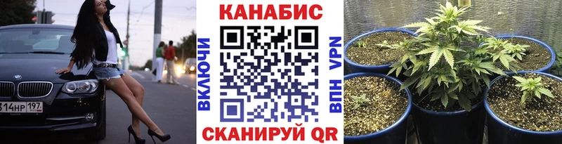 МАРИХУАНА ГИДРОПОН Набережные Челны